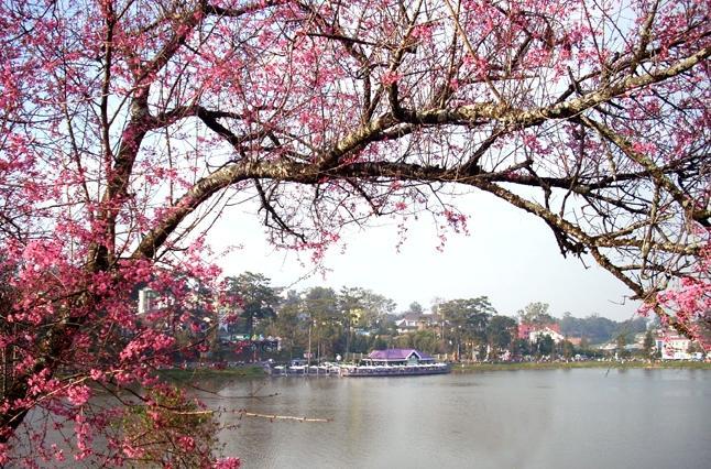 Ana Hotel Dalat Eksteriør bilde